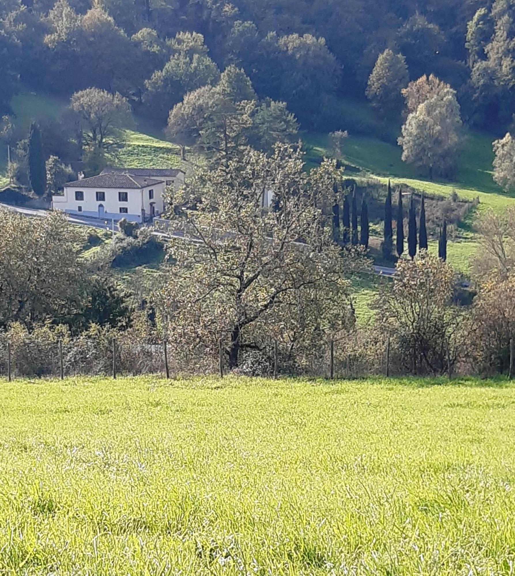 Casa Al Miglio Villa Pratolino Eksteriør bilde